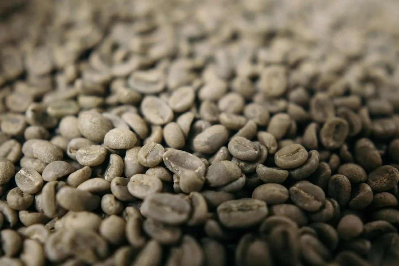 Close-up of green, unroasted coffee beans